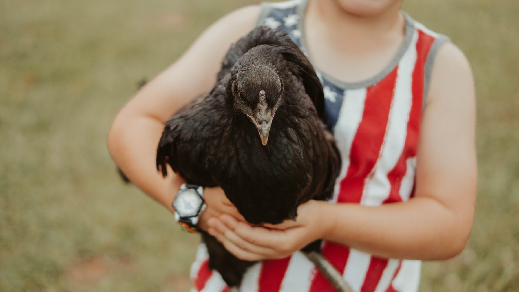 Pet portrait, image 7